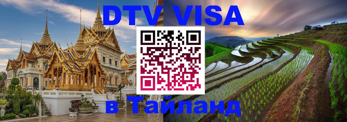 DTV Visa Тайланд купить Тирана 